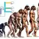 THUYẾT TIẾN HÓA:  MỘT LỊCH SỬ ĐẦY TRANH CẢI